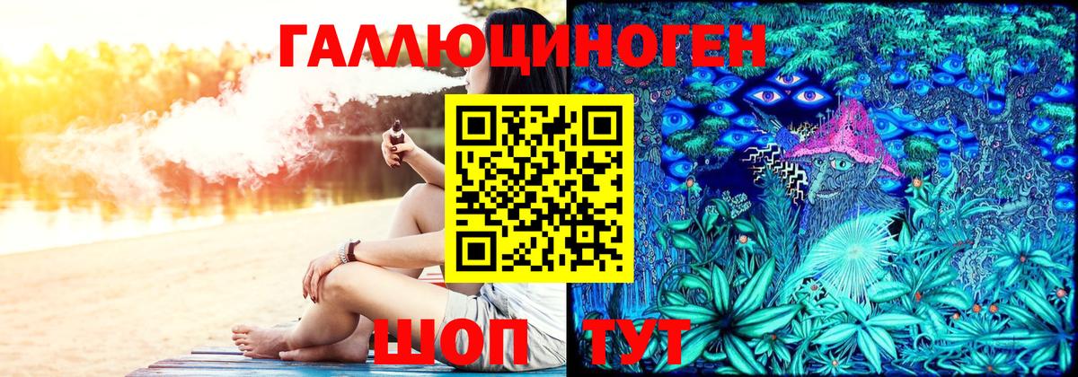 Галлюциногенные грибы Psilocybine cubensis Карпинск