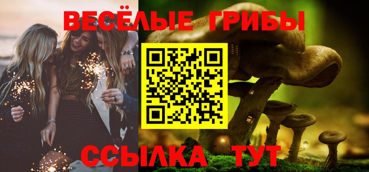 Галлюциногенные грибы прущие грибы  Вход с VPN  Карпинск 